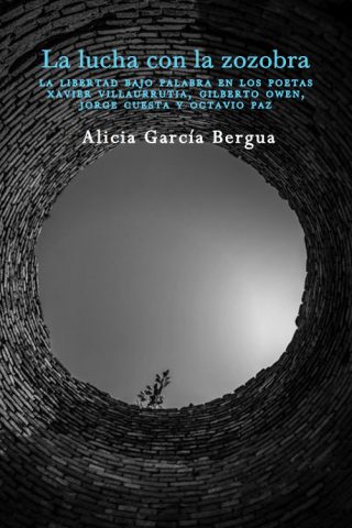 Alicia García Bergua - La lucha con la zozobra
