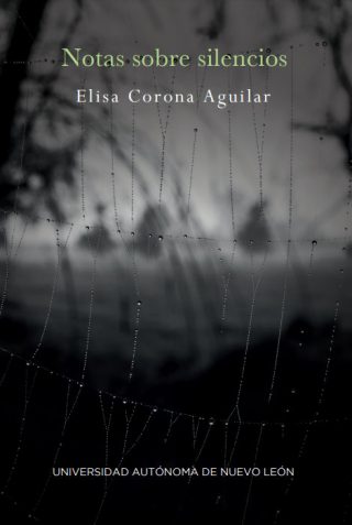 Elisa Corona Aguilar - Notas sobre silencios