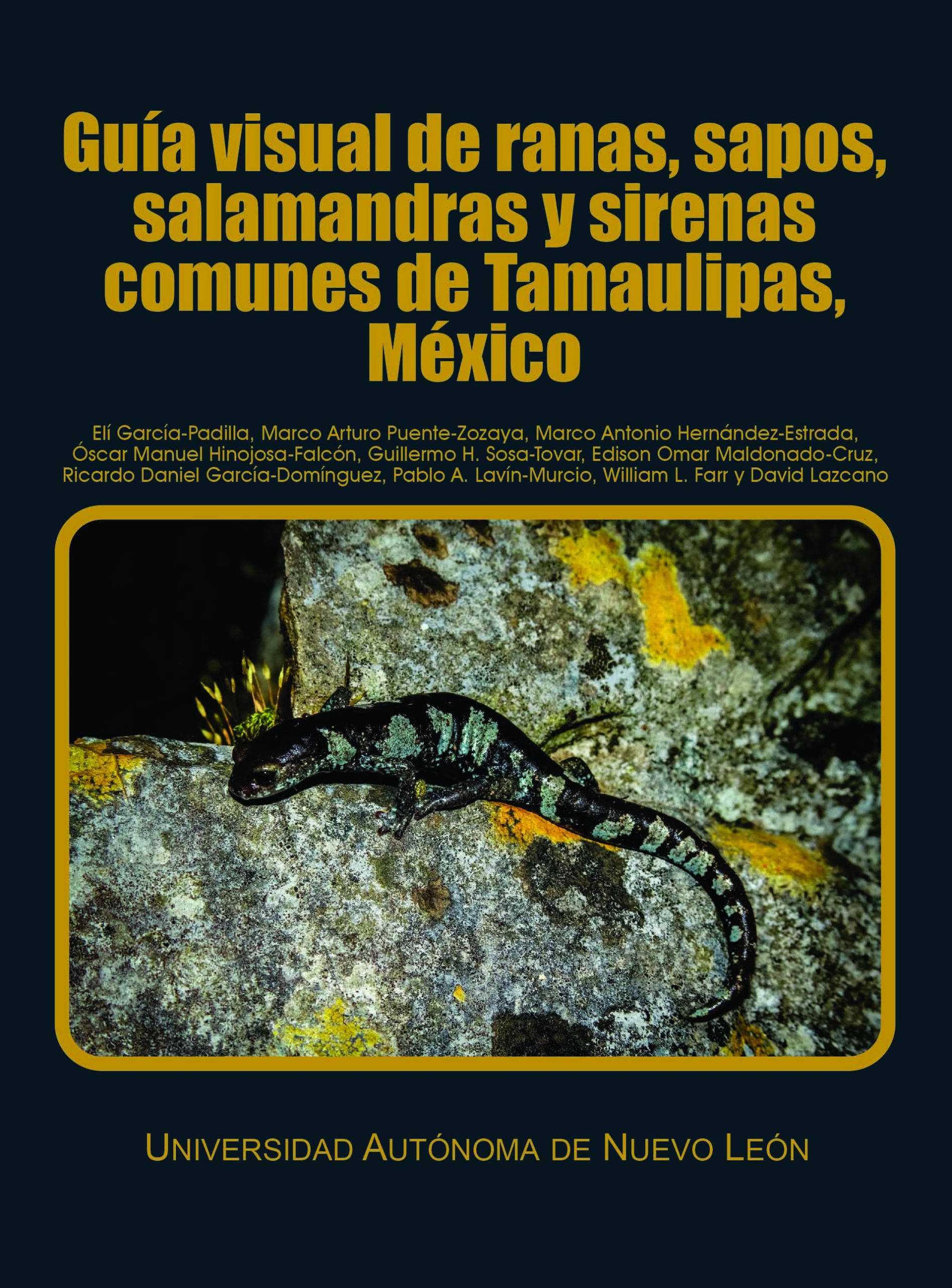 portada anfibios de tamulipas.cdr